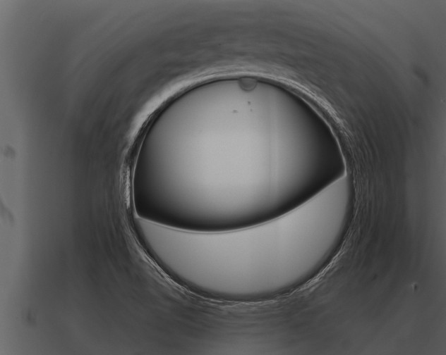 X0000091091510200708060948