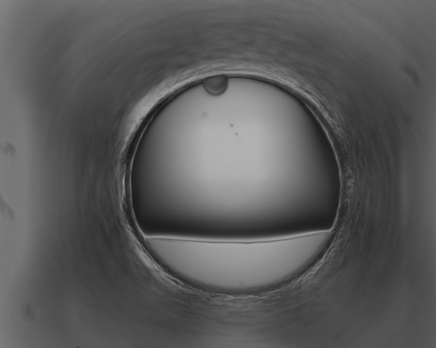 X0000091091511200708060948