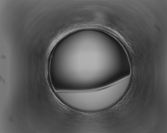 X0000091091512200708060948