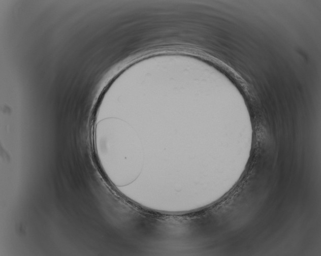 X0000091091514200708060948