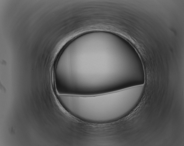 X0000091091515200708060948