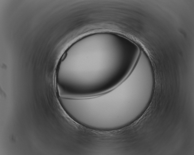 X0000091091516200708060948