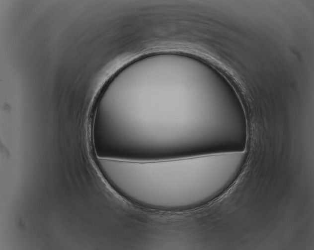 X0000091091517200708060948