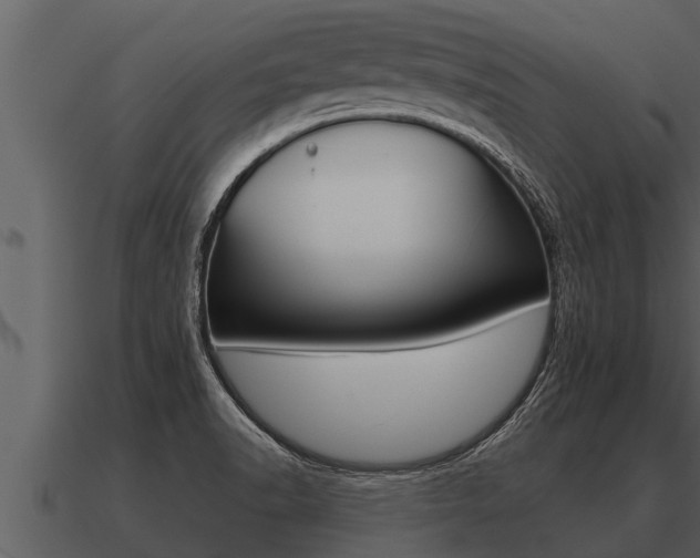 X0000091091518200708060948