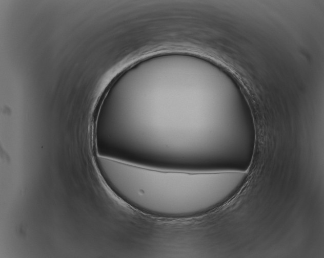 X0000091091519200708060948
