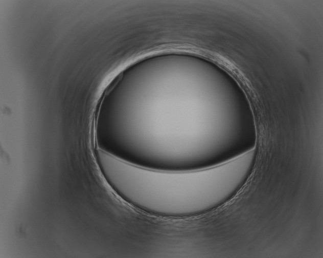 X0000091091520200708060948
