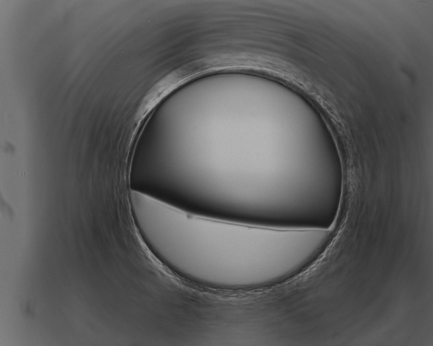X0000091091521200708060948