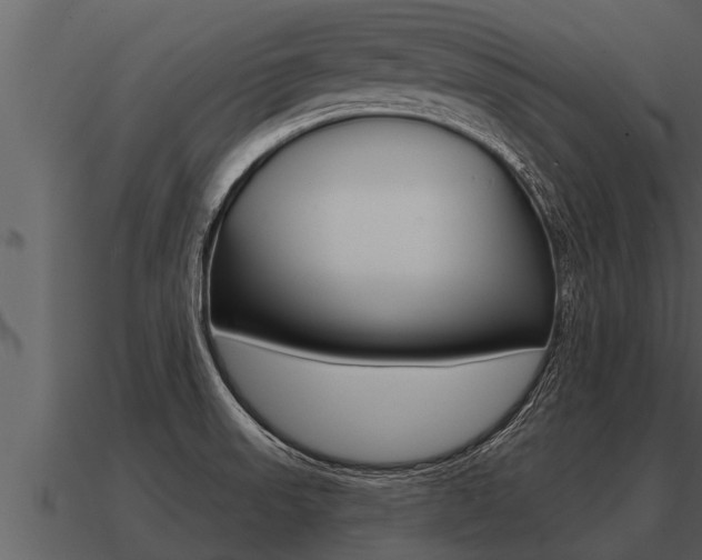 X0000091091523200708060948
