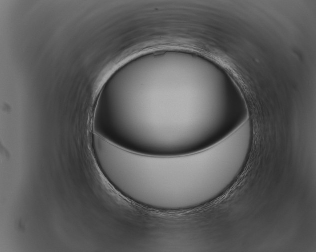 X0000091091524200708060948