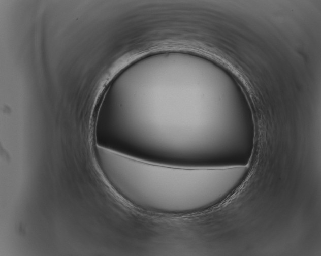 X0000091091525200708060948
