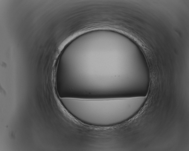 X0000091091526200708060948