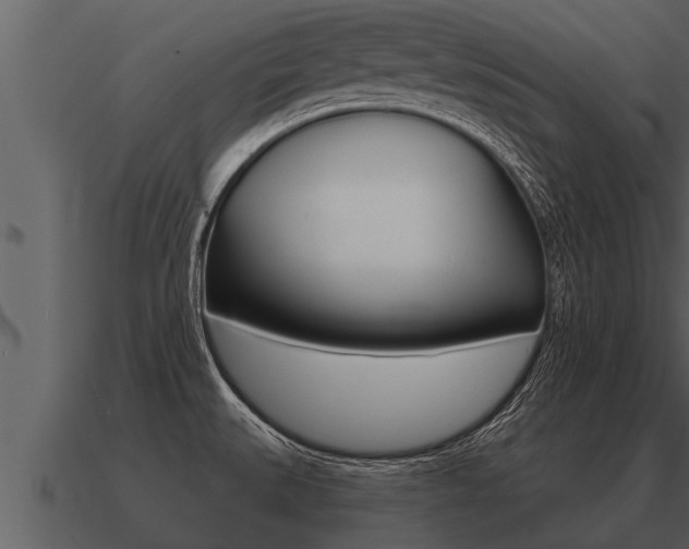 X0000091091527200708060948