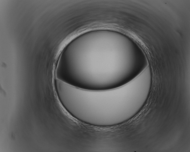 X0000091091528200708060948