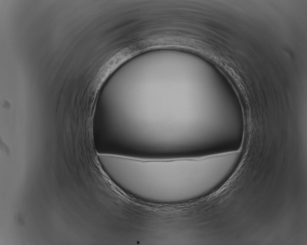 X0000091091529200708060948