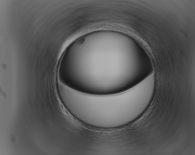 X0000091091530200708060948