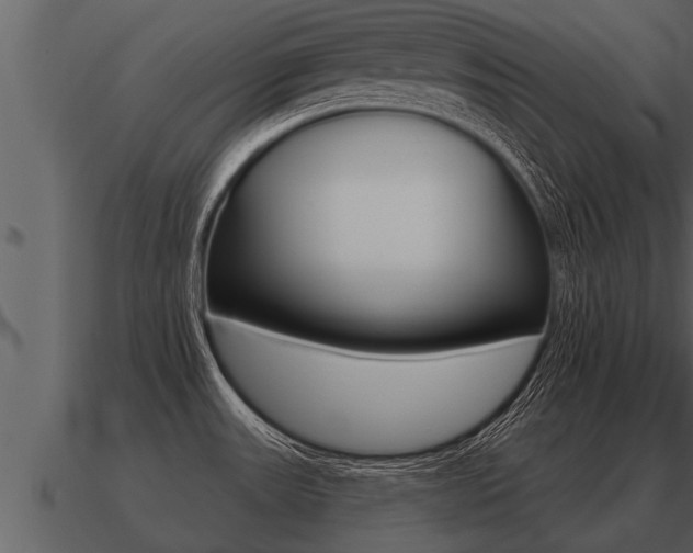 X0000091091531200708060948