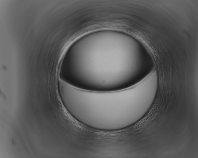 X0000091091532200708060948