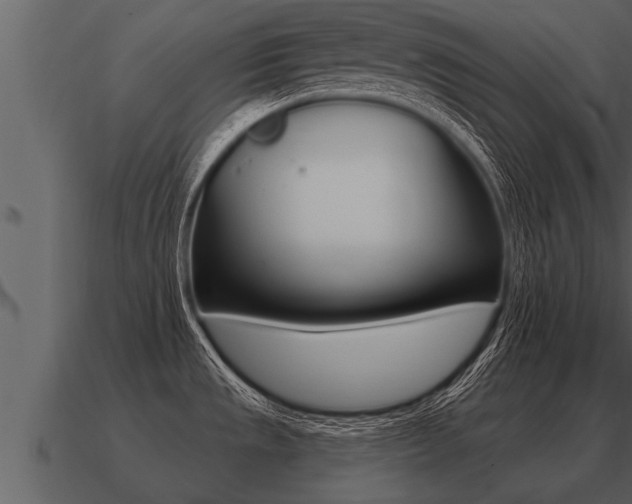 X0000091091533200708060948