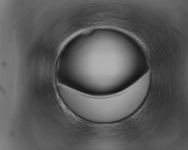 X0000091091534200708060948