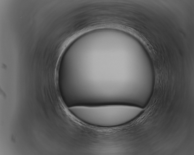 X0000091091535200708060948