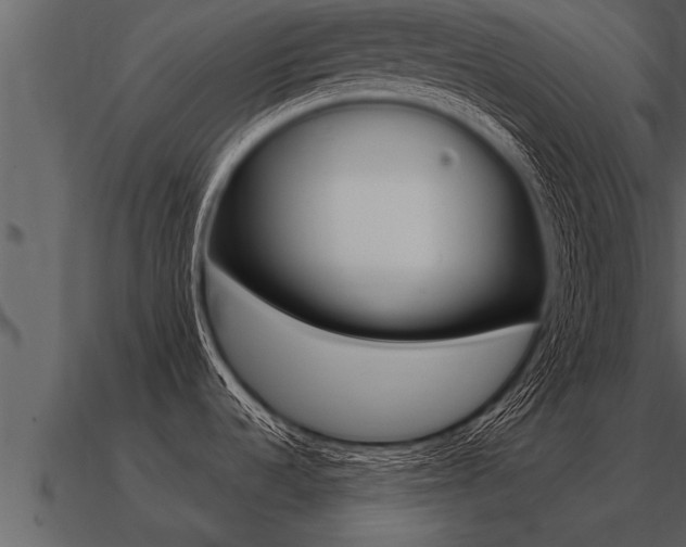X0000091091536200708060948