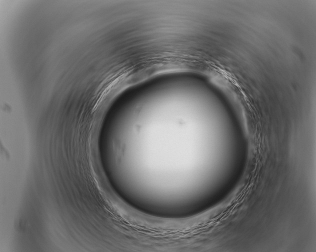 X0000091090001200708061647
