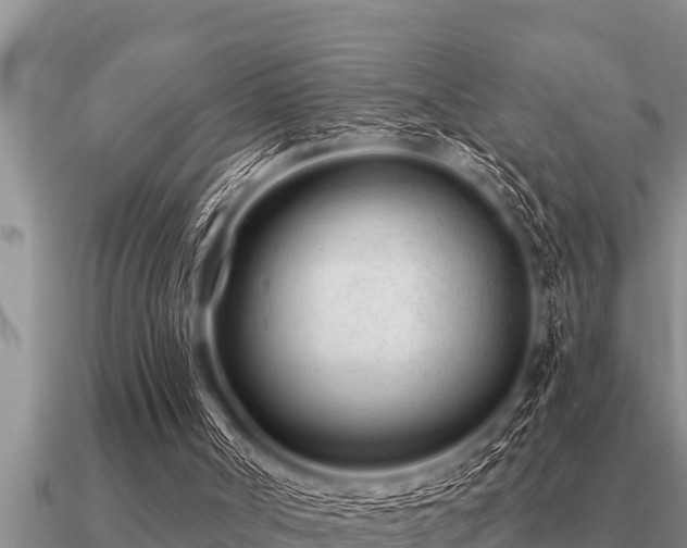 X0000091090002200708061647