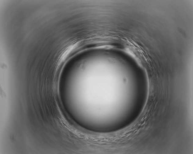 X0000091090003200708061647