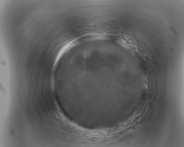 X0000091090004200708061647