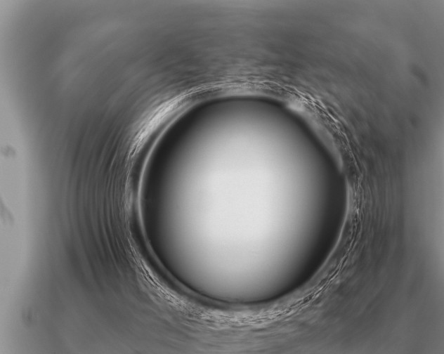 X0000091090005200708061647