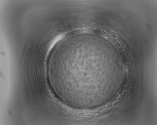 X0000091090006200708061647