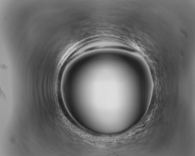 X0000091090007200708061647