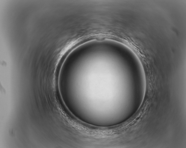 X0000091090008200708061647