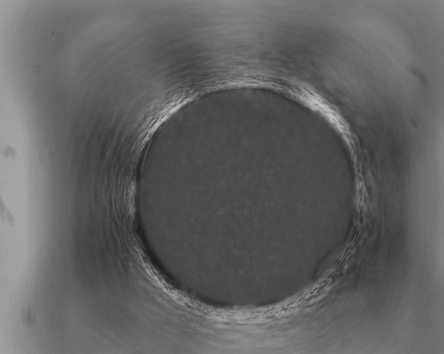 X0000091090009200708061647