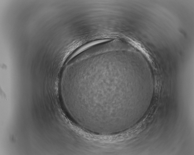X0000091090010200708061647