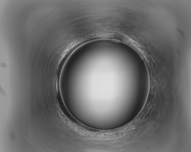 X0000091090011200708061647