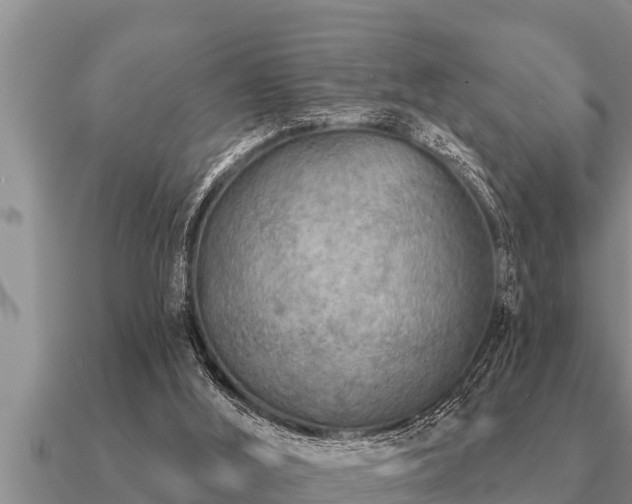 X0000091090012200708061647