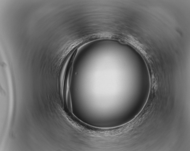 X0000091090013200708061647