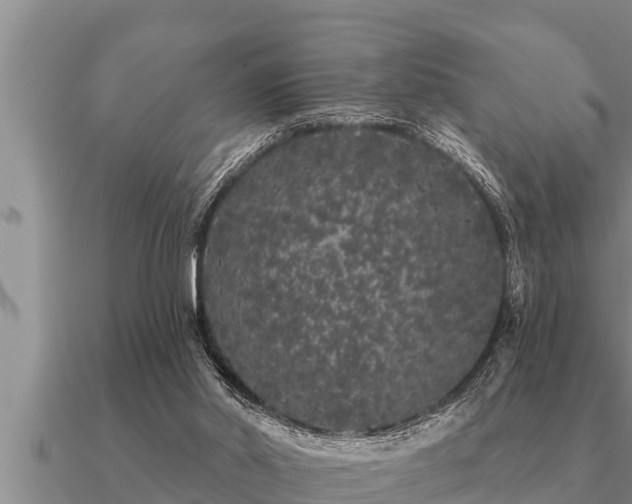 X0000091090014200708061647