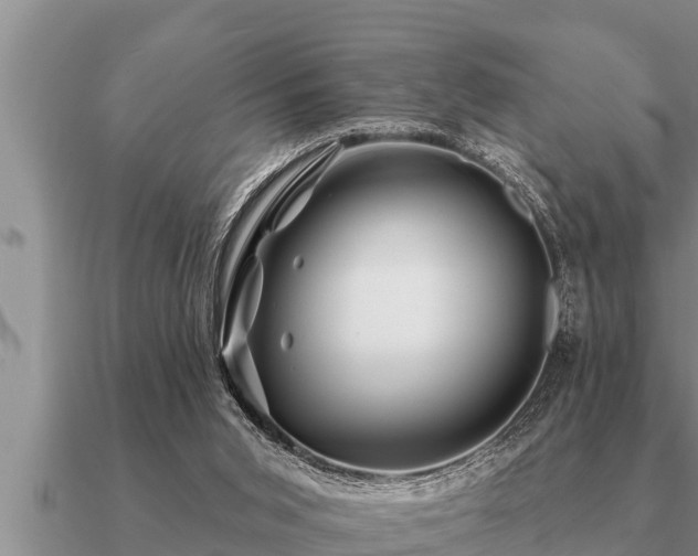 X0000091090015200708061647