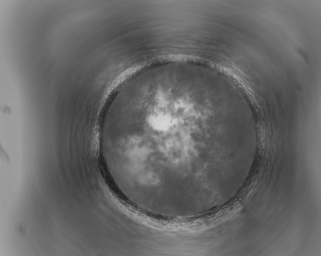 X0000091090016200708061647