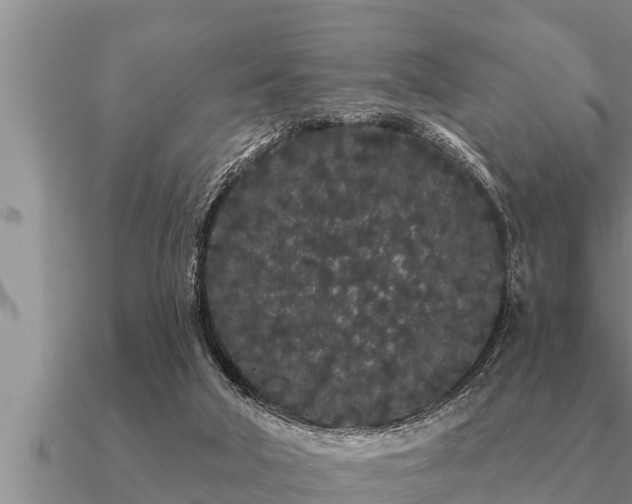 X0000091090018200708061647