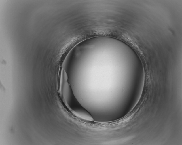 X0000091090019200708061647