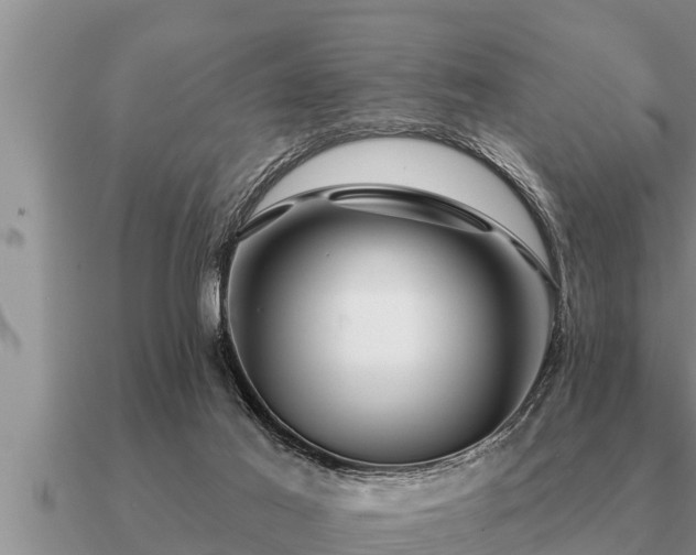 X0000091090021200708061647