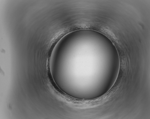 X0000091090023200708061647
