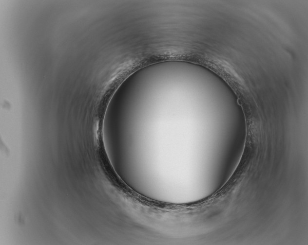 X0000091090024200708061647
