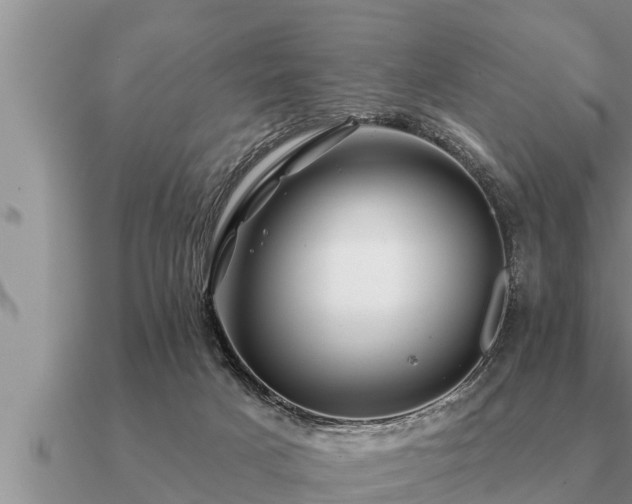 X0000091090025200708061647