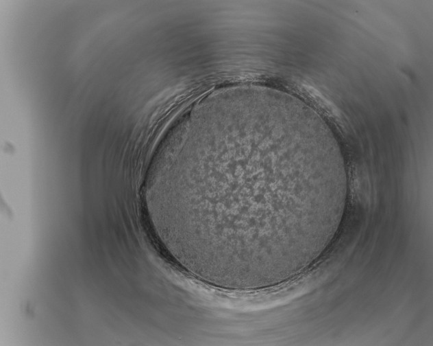 X0000091090026200708061647