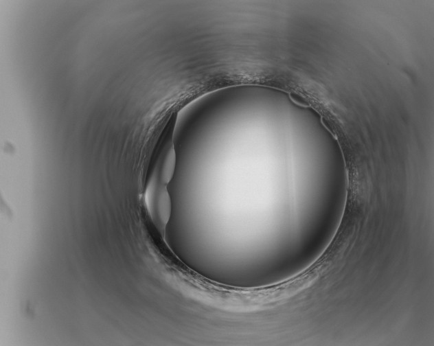 X0000091090027200708061647