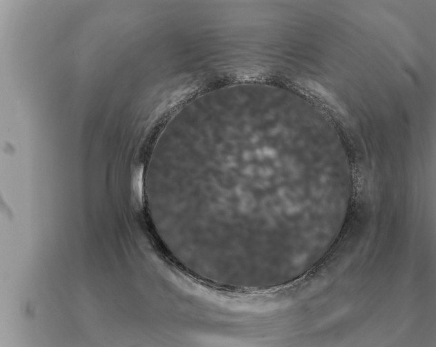 X0000091090028200708061647
